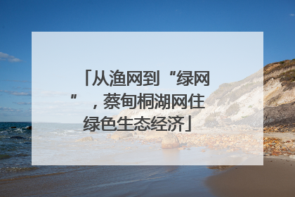 从渔网到“绿网”，蔡甸桐湖网住绿色生态经济