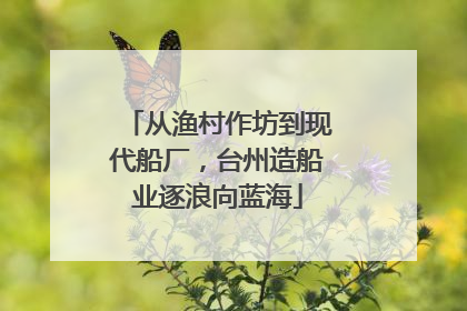 从渔村作坊到现代船厂，台州造船业逐浪向蓝海