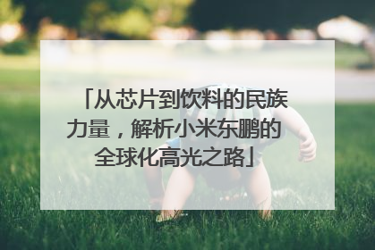 从芯片到饮料的民族力量，解析小米东鹏的全球化高光之路