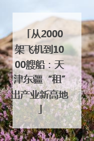 从2000架飞机到1000艘船：天津东疆“租”出产业新高地