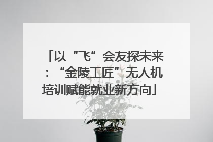以“飞”会友探未来：“金陵工匠”无人机培训赋能就业新方向