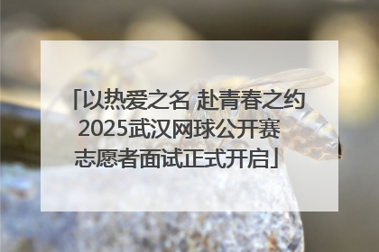 以热爱之名 赴青春之约 2025武汉网球公开赛志愿者面试正式开启