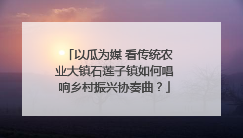 以瓜为媒 看传统农业大镇石莲子镇如何唱响乡村振兴协奏曲？