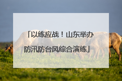 以练应战！山东举办防汛防台风综合演练
