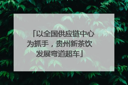 以全国供应链中心为抓手，贵州新茶饮发展弯道超车