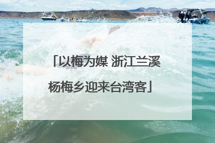 以梅为媒 浙江兰溪杨梅乡迎来台湾客