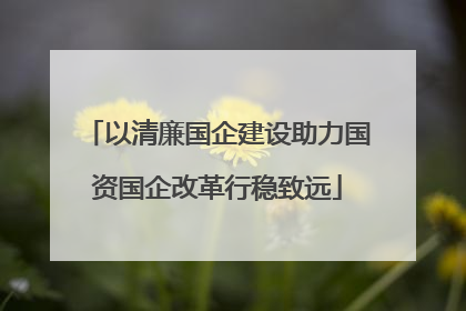 以清廉国企建设助力国资国企改革行稳致远
