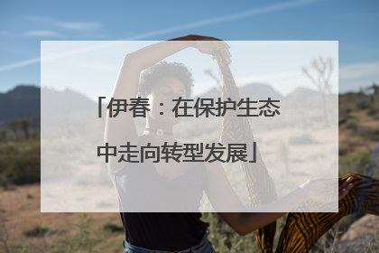 伊春：在保护生态中走向转型发展