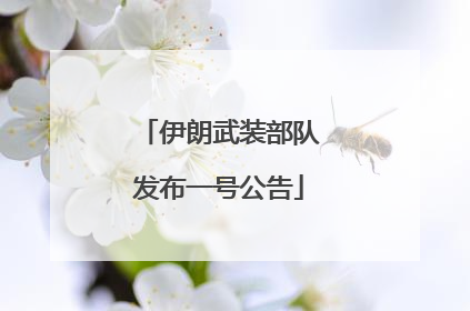 伊朗武装部队发布一号公告