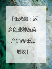 伍光豪：返乡创业种蔬菜 产销两旺促增收