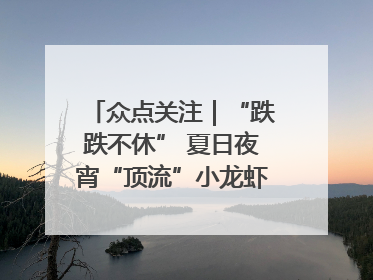 众点关注｜“跌跌不休” 夏日夜宵“顶流”小龙虾价格腰斩 东营人的快乐来了