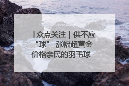 众点关注｜供不应“球” 涨幅超黄金 价格亲民的羽毛球为何身价飞涨？