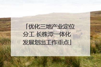 优化三地产业定位分工 长株潭一体化发展划出工作重点