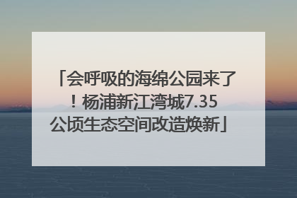 会呼吸的海绵公园来了！杨浦新江湾城7.35公顷生态空间改造焕新