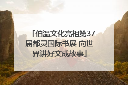 伯温文化亮相第37届都灵国际书展 向世界讲好文成故事
