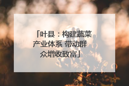 叶县：构建蔬菜产业体系 带动群众增收致富