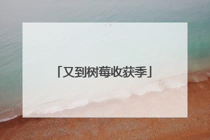 又到树莓收获季