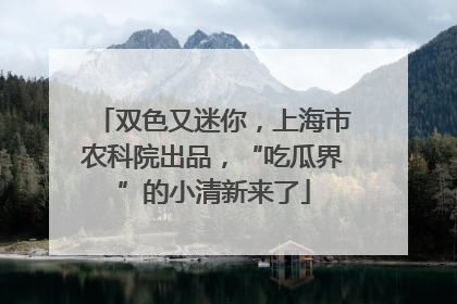 双色又迷你，上海市农科院出品，“吃瓜界”的小清新来了