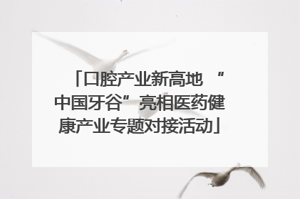口腔产业新高地 “中国牙谷”亮相医药健康产业专题对接活动
