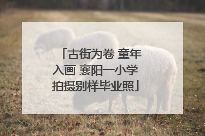古街为卷 童年入画 襄阳一小学拍摄别样毕业照