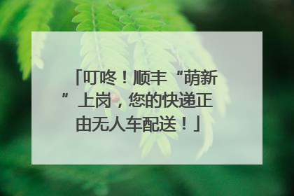叮咚！顺丰“萌新”上岗，您的快递正由无人车配送！