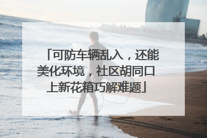 可防车辆乱入，还能美化环境，社区胡同口上新花箱巧解难题