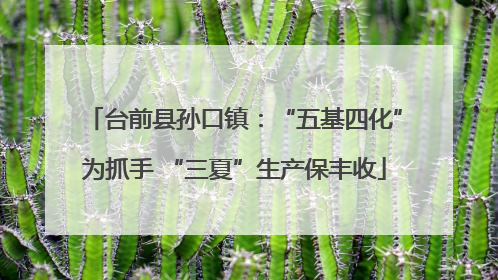 台前县孙口镇：“五基四化”为抓手 “三夏”生产保丰收