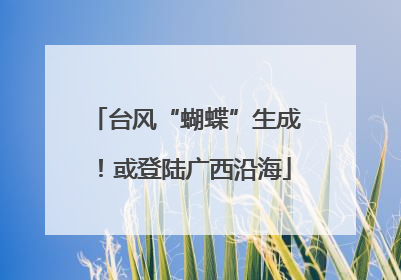 台风“蝴蝶”生成！或登陆广西沿海