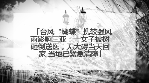 台风“蝴蝶”携较强风雨影响三亚：一女子被树砸倒送医，无大碍当天回家 当地已紧急清障