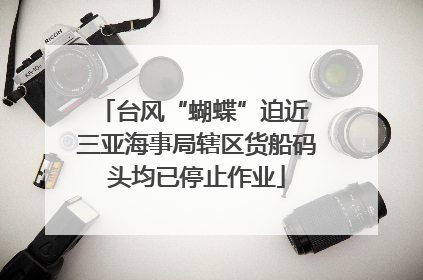 台风“蝴蝶”迫近 三亚海事局辖区货船码头均已停止作业