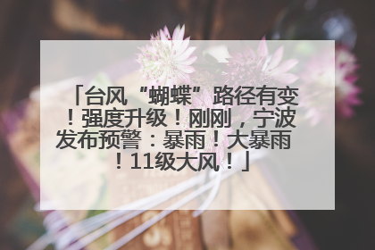台风“蝴蝶”路径有变！强度升级！刚刚，宁波发布预警：暴雨！大暴雨！11级大风！