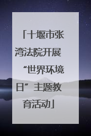 十堰市张湾法院开展“世界环境日”主题教育活动