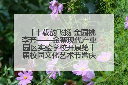 十载韵飞扬 金园桃李芳——金寨现代产业园区实验学校开展第十届校园文化艺术节暨庆“六一”系列活动
