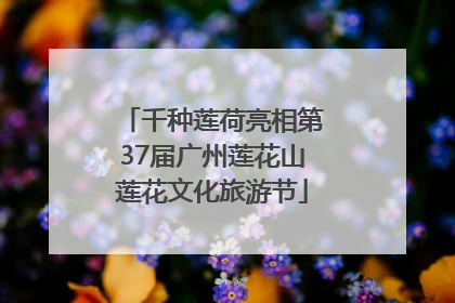 千种莲荷亮相第37届广州莲花山莲花文化旅游节