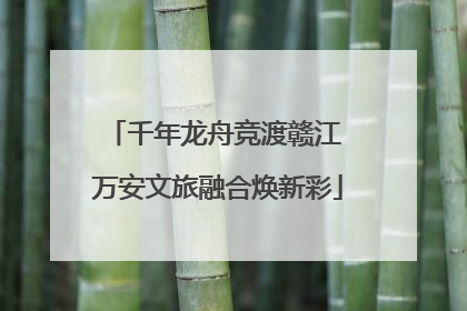 千年龙舟竞渡赣江 万安文旅融合焕新彩