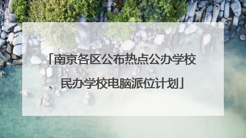 南京各区公布热点公办学校、民办学校电脑派位计划