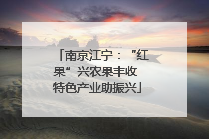 南京江宁：“红果”兴农果丰收 特色产业助振兴