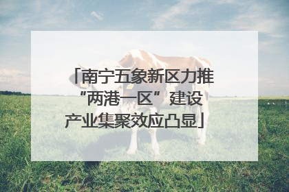南宁五象新区力推“两港一区”建设 产业集聚效应凸显