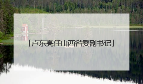 卢东亮任山西省委副书记