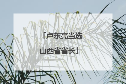 卢东亮当选山西省省长