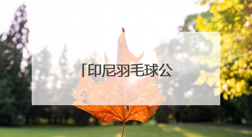 印尼羽毛球公开赛｜高昉洁晋级女单八强