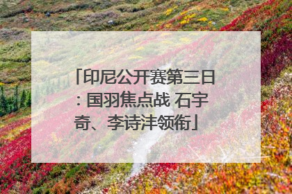 印尼公开赛第三日：国羽焦点战 石宇奇、李诗沣领衔