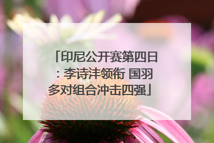 印尼公开赛第四日：李诗沣领衔 国羽多对组合冲击四强