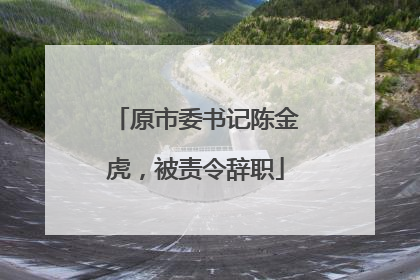 原市委书记陈金虎，被责令辞职