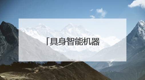 具身智能机器人4S店来了，未来能像买车一样买机器人？