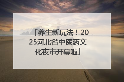 养生新玩法！2025河北省中医药文化夜市开幕啦