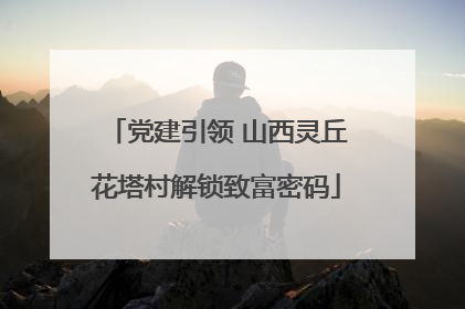 党建引领 山西灵丘花塔村解锁致富密码