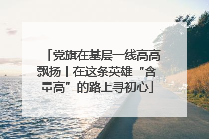 党旗在基层一线高高飘扬丨在这条英雄“含量高”的路上寻初心