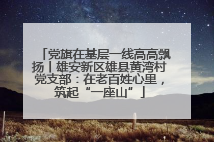 党旗在基层一线高高飘扬丨雄安新区雄县黄湾村党支部：在老百姓心里，筑起“一座山”