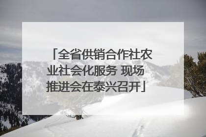 全省供销合作社农业社会化服务 现场推进会在泰兴召开